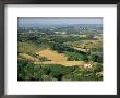 View Across Agricultural Landscape, San Gimignano, Tuscany, Italy by Ruth Tomlinson Limited Edition Print
