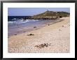 Porthmeor Beach And St. Ives Head, St. Ives, Cornwall, England, United Kingdom by Ken Gillham Limited Edition Print