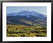 Autumn-Colored Trees At The Base Of A Snow-Covered Mountain by Bill Curtsinger Limited Edition Print