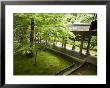 Ryoanji Temple Moss Garden, Ryoan-Ji Temple, Unesco World Heritage Site, Kyoto City, Honshu, Japan by Christian Kober Limited Edition Print