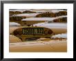 Close-Up Of Tops Of School Buses In A Parking Lot, Brooklyn, New York by Todd Gipstein Limited Edition Print