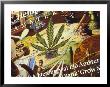 Close-Up Of Cannabis Shop Sign, Amsterdam, The Netherlands (Holland) by Richard Nebesky Limited Edition Print