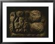 Glyph Representing The Mayan Rulers Title Of Divine Lord Of Copan by Kenneth Garrett Limited Edition Print