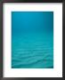 Underwater Shot Of Clear Blue Water Off Of The Virgin Islands by Raul Touzon Limited Edition Print