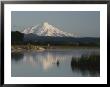 A View Of Mount Shasta From The Fall River by Gordon Wiltsie Limited Edition Pricing Art Print