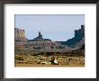 A Mountain Lion Rests In An Arid Landscape by Norbert Rosing Limited Edition Print