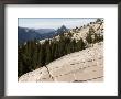 Half Dome Looms Above Tioga Pass In Yosemite National Park by Charles Kogod Limited Edition Print