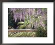 Mediterranean Garden, Lisbon, Portugal by Martine Mouchy Limited Edition Print