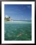 A Lone Snorkeler Floats In Waters Off A Palm Tree-Dotted Island by Michael Melford Limited Edition Print