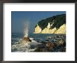 White Chalk Cliffs Of The Island Of Rugen At Jasmund National Park by Norbert Rosing Limited Edition Print