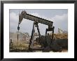 Harvesters Thresh Fields Near A Working Oil Pump by B. Anthony Stewart Limited Edition Print