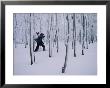 Man Carrying Snowboard While Snowshoeing Through Forest by Skip Brown Limited Edition Print