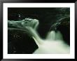 Waterfall Time Exposure, Harz/Hochharz National Park, Germany by Norbert Rosing Limited Edition Print