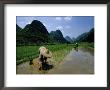 Farmers In Rice Fields Of Farming Village, Yangdi Valley by Raymond Gehman Limited Edition Print