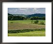 A Railroad Bridge Crosses Through A Pastoral Landscape by Raymond Gehman Limited Edition Print