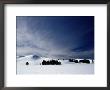 Winter Landscape At Hayden Valley by Raymond Gehman Limited Edition Print