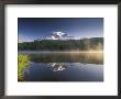 Mt. Rainier Reflecting In Lake, Mt. Rainier National Park, Washington, Usa by Gavriel Jecan Limited Edition Pricing Art Print
