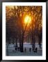 Hyde Park In Winter, London, England, United Kingdom by Adam Woolfitt Limited Edition Print