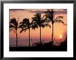 Sunset Over Kihei, Maui, Hawaii by Chris Rogers Limited Edition Print