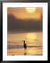 A Little Blue Heron Silhouetted On A Florida Beach At Sunrise by Roy Toft Limited Edition Pricing Art Print