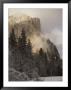 Scenic Of Mountain And Fir Trees by Anne Keiser Limited Edition Print