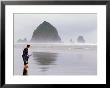 Cannon Beach And Haystack Rock, Oregon Coast, Usa by Janis Miglavs Limited Edition Pricing Art Print