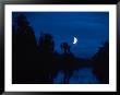 Moon Over Okeefenokee Swamp by Warren Flagler Limited Edition Print