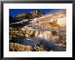 Minerva Terrace, Mammoth Hot Springs, Yellowstone National Park, Usa by John Elk Iii Limited Edition Print