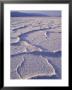 Salt Flats At Badwater, Death Valley National Park, California, Usa by Jamie & Judy Wild Limited Edition Print