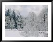 Sentinel Rock And A Nearby Clearing After A Snow by Marc Moritsch Limited Edition Print