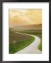 The Golden Sun Glows Through Cloud Cover To Illuminate A Country Road by Richard Nowitz Limited Edition Print