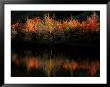 Fall Foliage With Reflections, New Hampshire, Usa by Joanne Wells Limited Edition Pricing Art Print