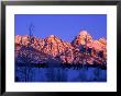 Grand Teton National Park In Winter Time, Grand Teton National Park, Wyoming, Usa by Carol Polich Limited Edition Print