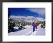 Cross Country Skiing In Hope Valley, Usa by Lee Foster Limited Edition Print