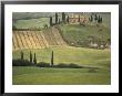 Tuscan Villa, Val D'orcia, Italy by Walter Bibikow Limited Edition Print