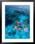 Snorklers, Bahamas, Caribbean by Greg Johnston Limited Edition Print