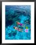 Snorklers, Bahamas, Caribbean by Greg Johnston Limited Edition Pricing Art Print