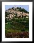 Medieval Hilltop Town Overlooking Vineyards, Motovun, Croatia by Wayne Walton Limited Edition Print