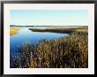 Tidal Creek Empties Into Biddeford Pool, Anuszewski Property, Maine, Usa by Jerry & Marcy Monkman Limited Edition Print