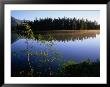 Trees Reflected In Lake Grand Teton National Park, Wyoming, Usa by Rob Blakers Limited Edition Pricing Art Print