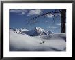 Winter Scene Inside Jasper National Park by Dean Conger Limited Edition Print