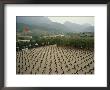 Children Practice Kung Fu In A Courtyard At The Ta Gou Academy by Eightfish Limited Edition Pricing Art Print