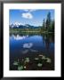 Pond Lilies, Powerline Lake, And Mckinley Mountain by Rich Reid Limited Edition Print
