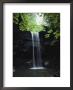A Gentle Woodland Waterfall With Maple Trees by Bill Curtsinger Limited Edition Pricing Art Print
