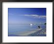 Seven Mile Beach, Grand Cayman, Cayman Islands, Caribbean, West Indies by Ruth Tomlinson Limited Edition Print