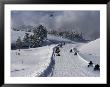 Snowmobiling, Yellowstone National Park, Wyoming, Usa by Carol Polich Limited Edition Print