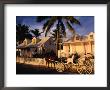 A Horse-Drawn Carriage Stands In Front Of A Loyalist's Home, Eleuthera Point, Bahamas by Greg Johnston Limited Edition Print
