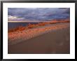 Scenic View Of Sleeping Bear Dunes National Lakeshore by Melissa Farlow Limited Edition Print