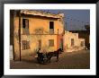 Horse And Cart Passing House, St. Louis, Senegal by Ariadne Van Zandbergen Limited Edition Print
