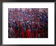 Regiment In Uniform Celebrates The Durbar Festival Of Kano, Kano, Nigeria by Jane Sweeney Limited Edition Print